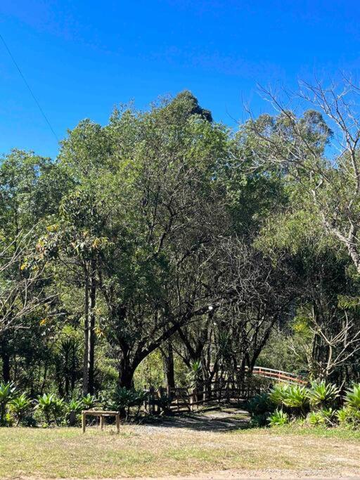 Casa De Campo Com Piscina A 2 Min De Cunha Kültér fotó